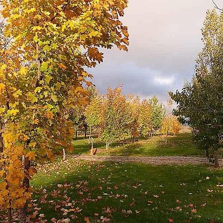 Camping Ain Jaca Zewnętrze zdjęcie