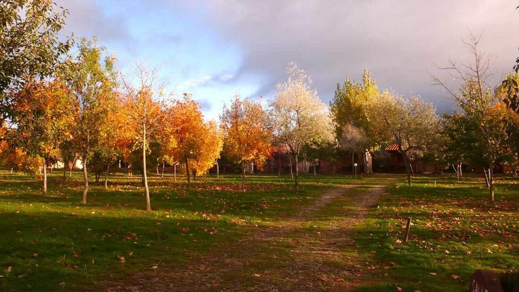 Camping Ain Jaca Zewnętrze zdjęcie